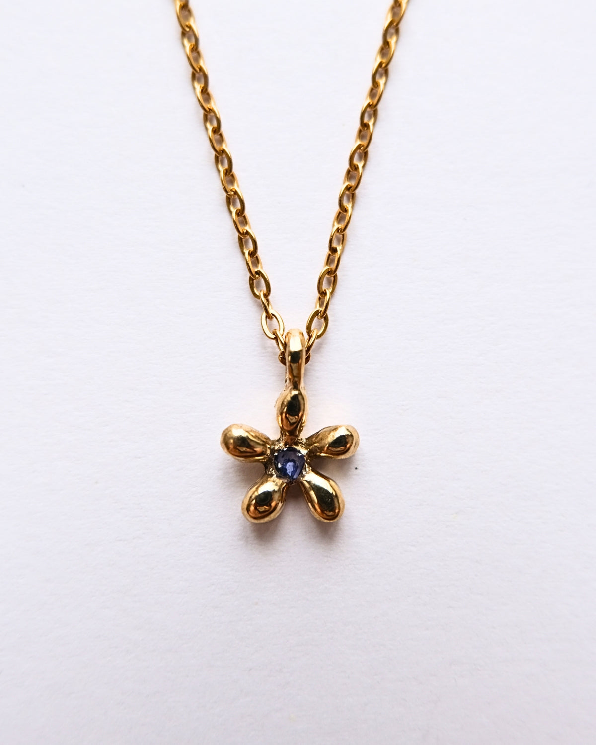 Collana con pendente a forma di non ti scordar di me in ottone con frammenti di petali