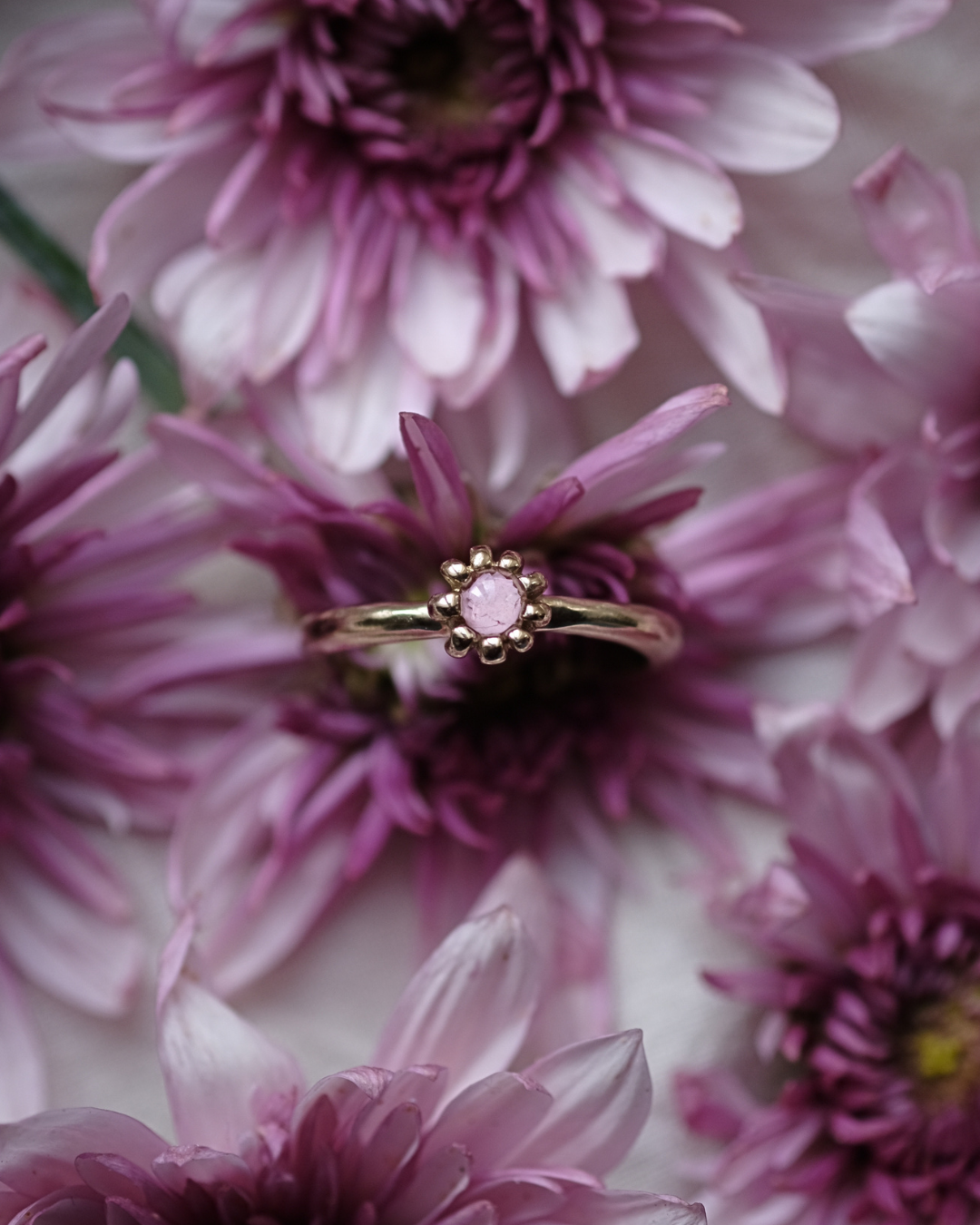 FIORE - Anello in ottone con frammenti di gerbera rosa