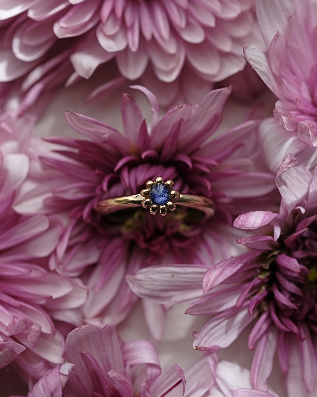 FIORE - Anello in ottone con frammenti di fiordaliso blu
