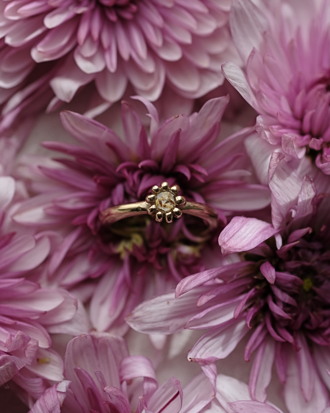FIORE - Anello in ottone con frammenti e pistilli di margherita