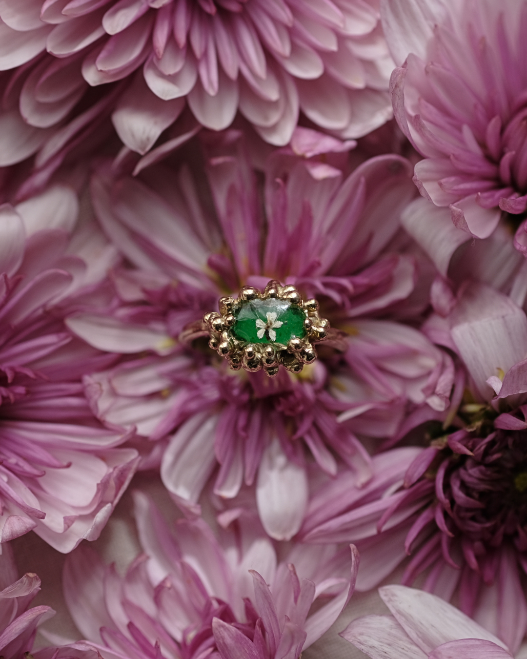CAROTA SELVATICA - Anello in ottone con fiore di carota selvatica su base verde e gocce di rugiada