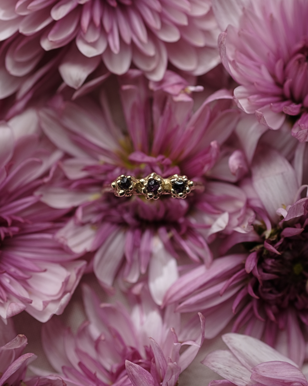 COSMOS - Anello con tre gocce contenenti dei fiori di Cosmos e gocce di rugiada