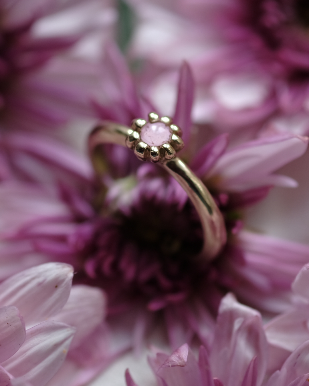 FIORE - Anello in ottone con frammenti di gerbera rosa