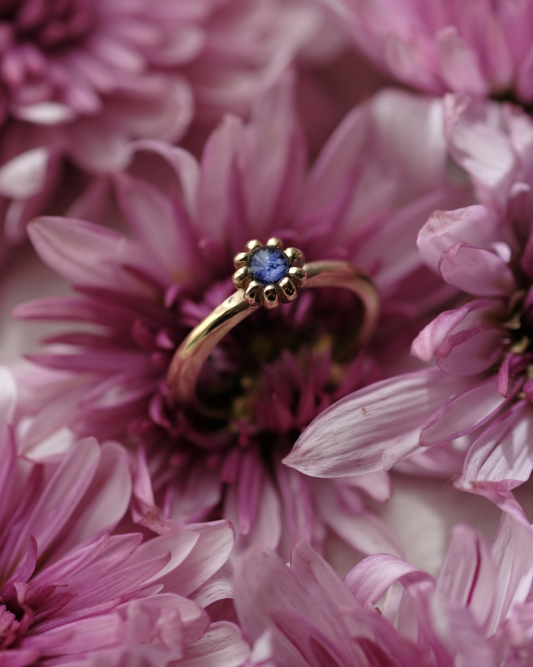 FIORE - Anello in ottone con frammenti di fiordaliso blu