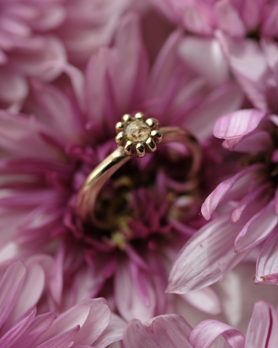 FIORE - Anello in ottone con frammenti e pistilli di margherita