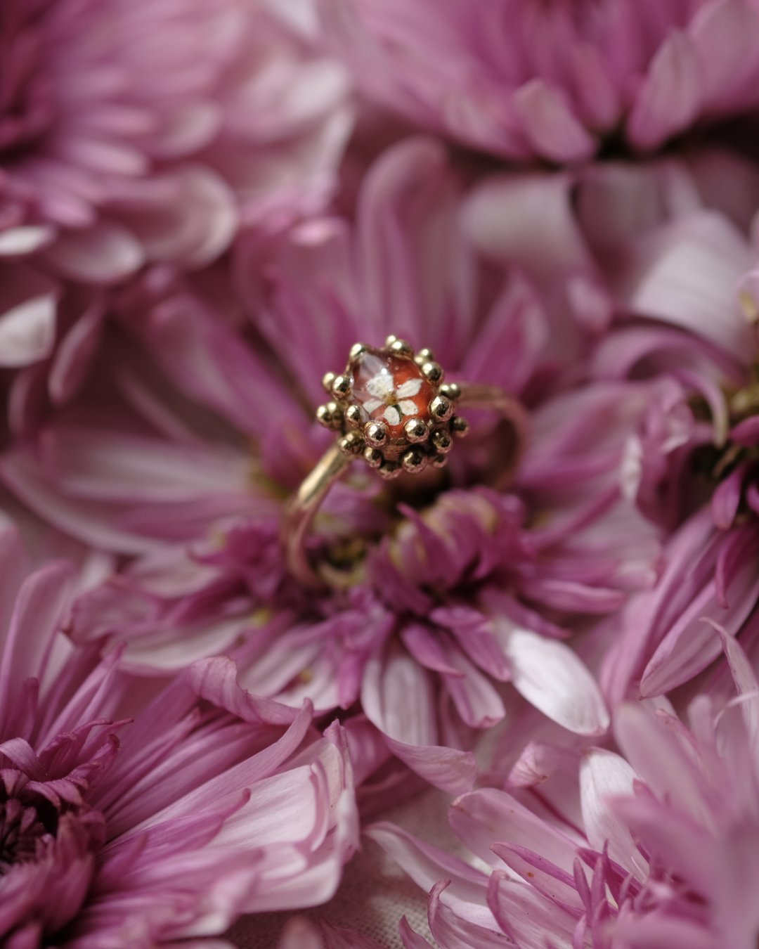 CAROTA SELVATICA - Anello in ottone con fiore di carota selvatica su base rossa e gocce di rugiada