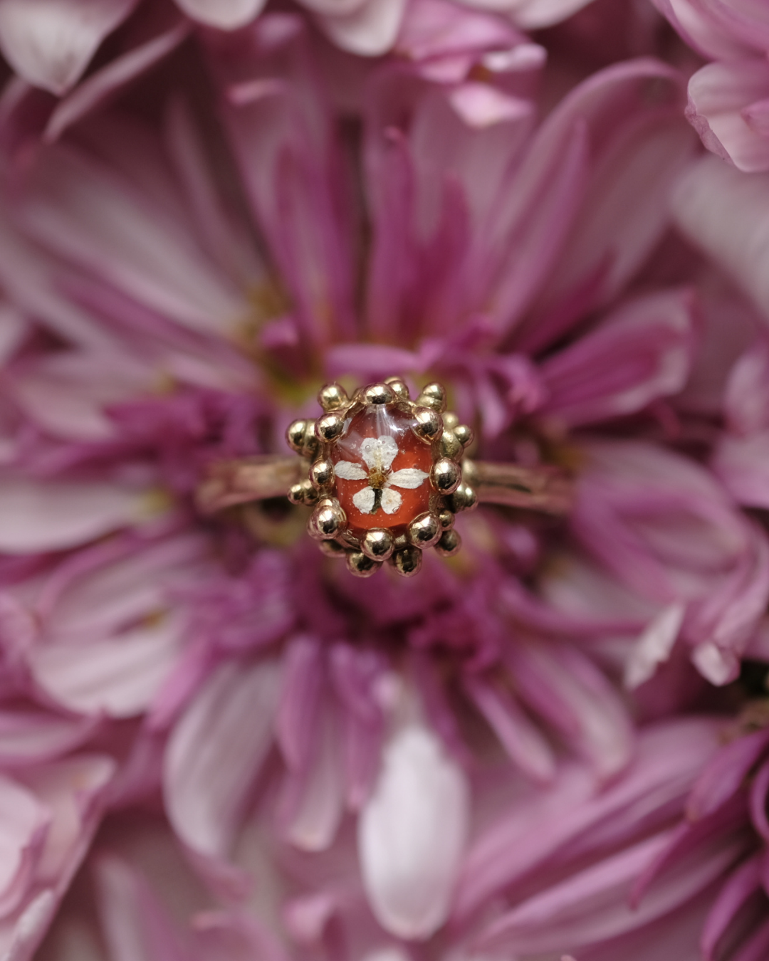 CAROTA SELVATICA - Anello in ottone con fiore di carota selvatica su base rossa e gocce di rugiada