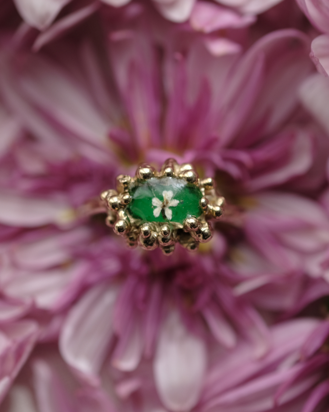 CAROTA SELVATICA - Anello in ottone con fiore di carota selvatica su base verde e gocce di rugiada