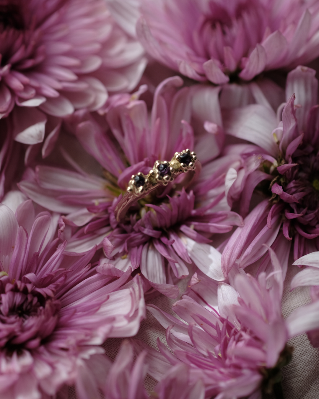 COSMOS - Anello con tre gocce contenenti dei fiori di Cosmos e gocce di rugiada