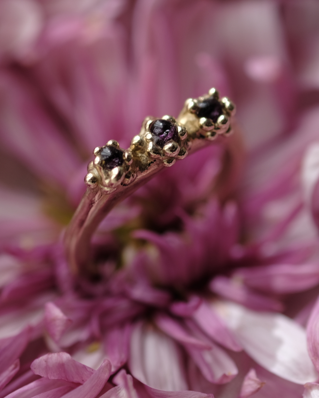 COSMOS - Anello con tre gocce contenenti dei fiori di Cosmos e gocce di rugiada