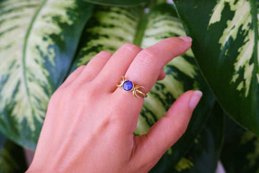 Anello ERINA con petali di speronella viola